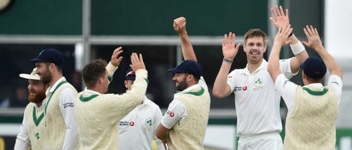 Cricket team celebrating victory on field