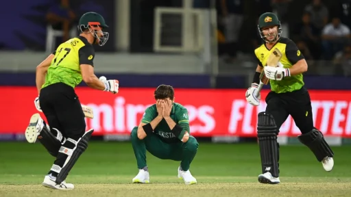 Cricket players in action during a night match