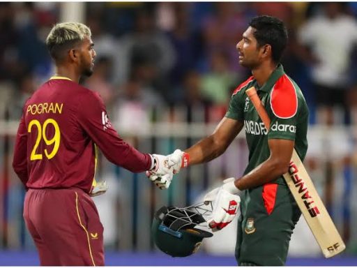 Cricket players shake hands during match