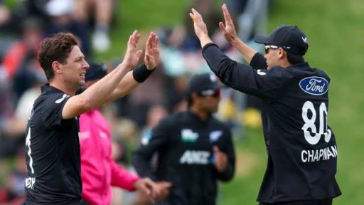 Cricketers high-fiving on field during game