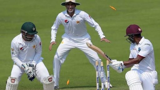 Cricket bowler celebrates batsman's wicket during game