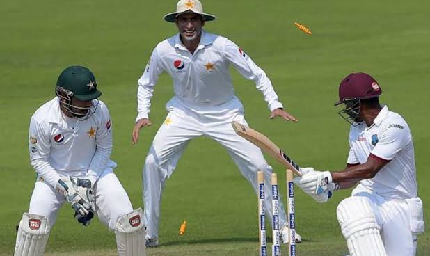 Cricket bowler celebrates batsman's wicket during game